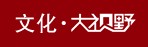 痴迷于“双重身份”的明星(图片)