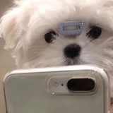 此用户不存在