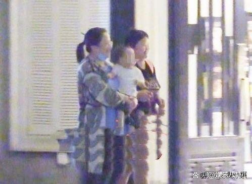 赵丽颖“神秘同行者”事件：娱乐圈亲子叙事与舆论场的双重博弈