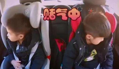 明星孩子都在用什么?盘点那些连明星都在用育儿好物!