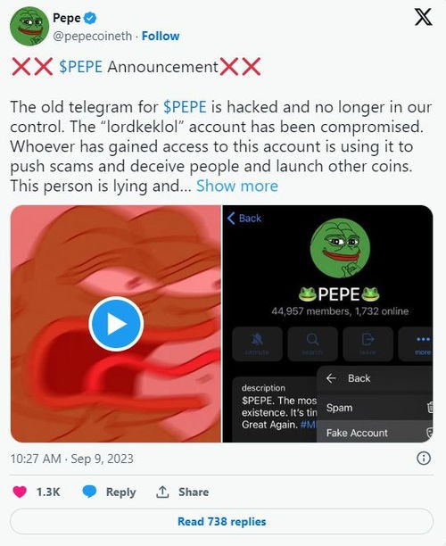 Pepe币：模因币界的璀璨明星