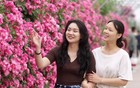 新华视点｜乡村蝶变交响曲