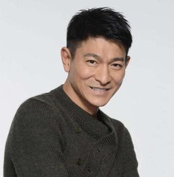 刘德华在华语娱乐圈的地位