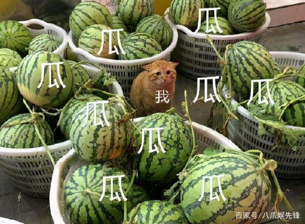 2021年娱乐圈大瓜，三顶流一朝踏错毁终身，两歌手意乱情迷成笑谈