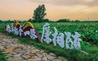 1.9万名村官被查背后