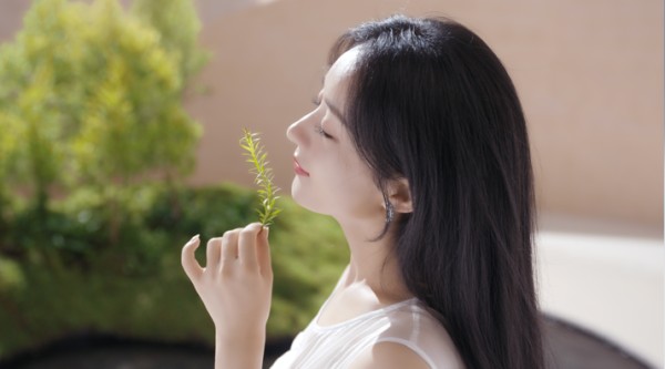 image003.png