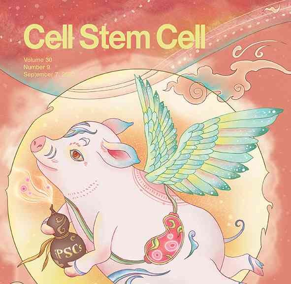  "中国科学家成功在猪胚胎中培育出具有红色荧光的人类细胞，成就医学领域的新突破！"