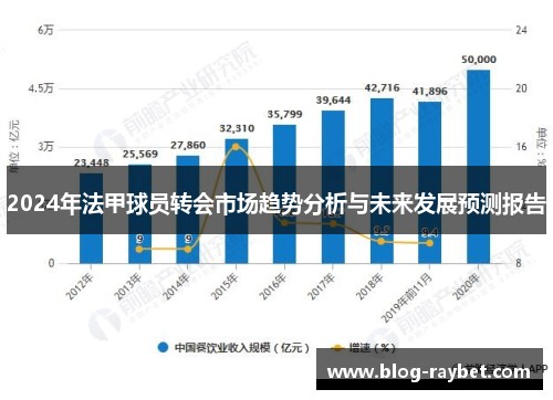2024年法甲球员转会市场趋势分析与未来发展预测报告