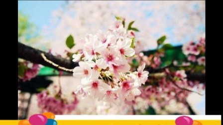 早安励志图片句子你能把绊脚石当成垫脚石,就可以笑对坎坷