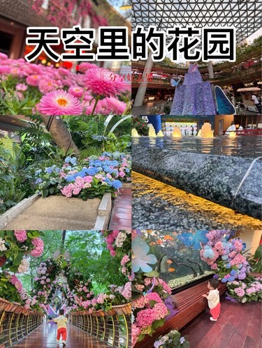 天空里的花园 真会整活
