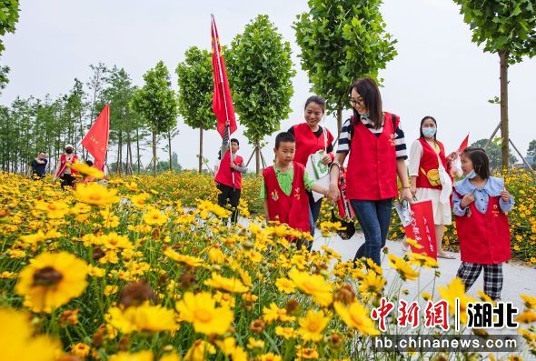 中新网湖北 湖北新闻网 湖北宜都：公益行走点亮生态之光
