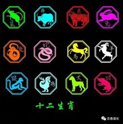 生肖星座运势指南:揭秘你的上升星座,揭示未来趋势!