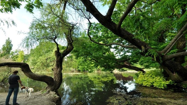 Parco Sempione0.jpg