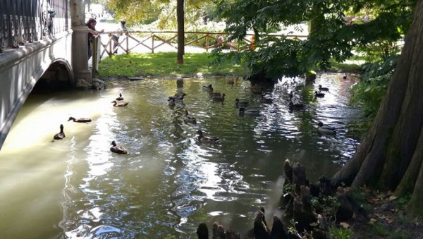 Parco Sempione2.jpg