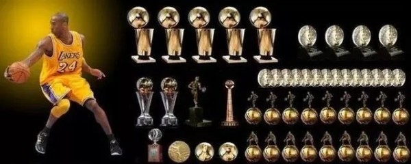nba金明星（职业生涯中的辉煌表现）