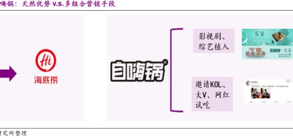 海锅:天然优势V.s.多组合营销手段 - 2020年04月 - 行业研究数据