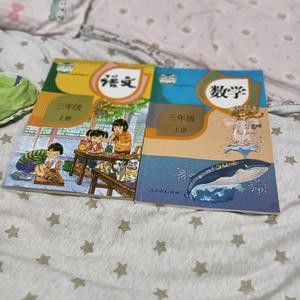 大明星小彩虹头像