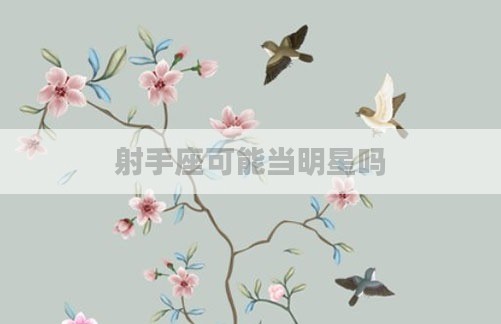 射手座可能当明星吗