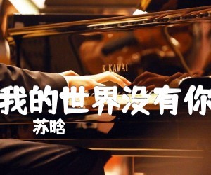 《我的世界没有你吉他谱》_苏晗_吉他图片谱3张
