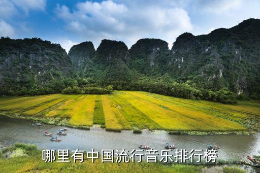 哪里有中国流行音乐排行榜