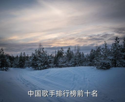 中国歌手排行榜前十名