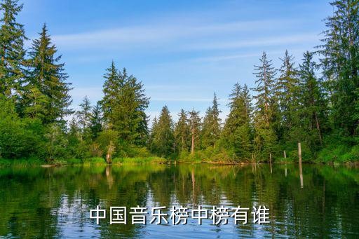 中国音乐榜中榜有谁