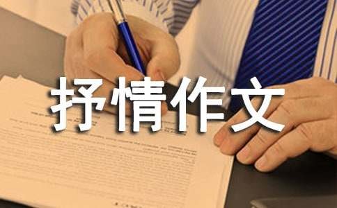 人物传记初二抒情作文