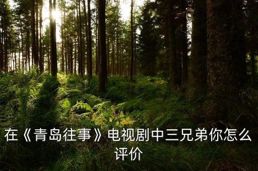 在《青岛往事》电视剧中三兄弟你怎么评价