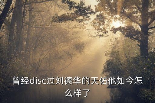 曾经disc过刘德华的天佑他如今怎么样了