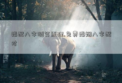 婚配八字测算原理,免费婚姻八字配对