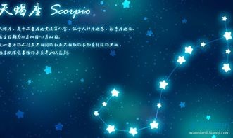 2024星缘佳配:火象与水象星座,激情碰撞,甜蜜如蜜。