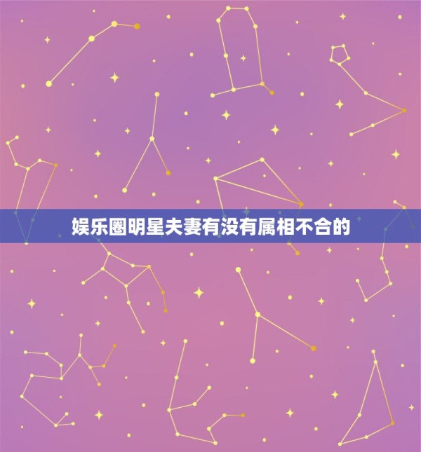 娱乐圈明星夫妻有没有属相不合的,娱乐圈中,哪些明星夫妻相爱相杀的婚姻太