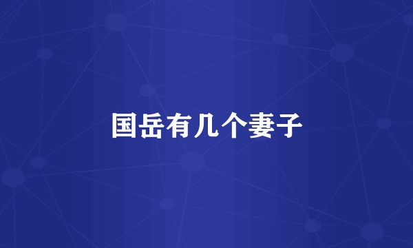 国岳有几个妻子