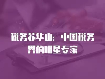 税务苏华山:中国税务界的明星专家