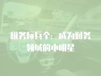 税务标兵个:成为财务领域的小明星