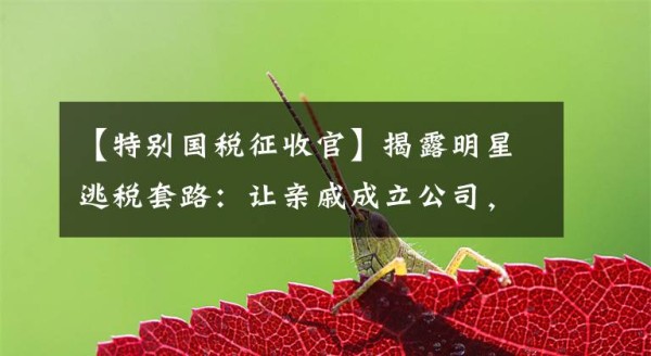 【特别国税征收官】揭露明星逃税套路：让亲戚成立公司，千万出场费可以超过“省”税300万韩元。文章配图