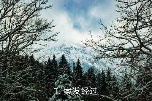 1. 案发经过