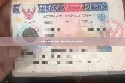 泰国牛奶因明星代言爆火，揭秘断货背后的广告营销奇效！