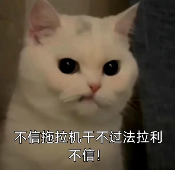 艺人的转型之路：王一博的逆袭之路