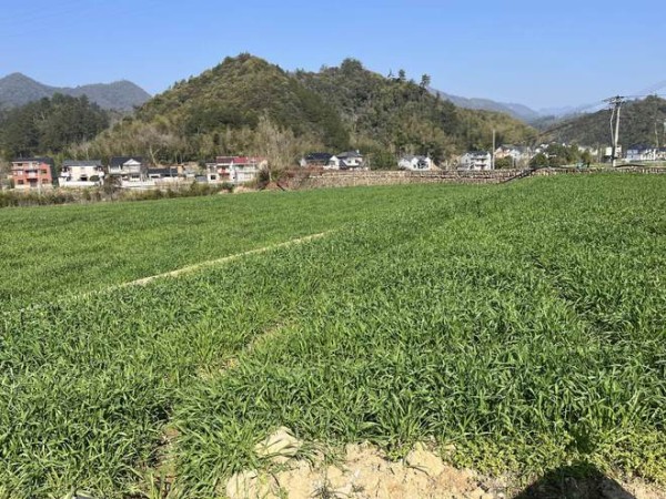 投资500万元！临安草根网红苏光辉打造青创农场