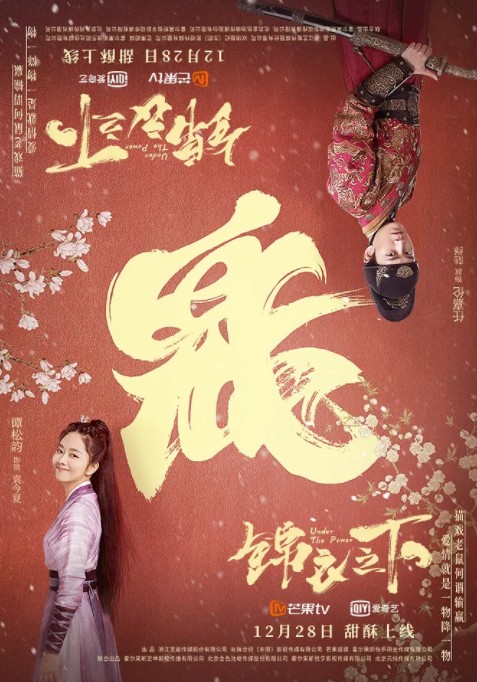 锦衣之下(2019年任嘉伦、谭松韵主演的电视剧)