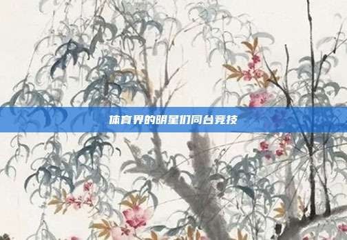 体育界的明星们同台竞技