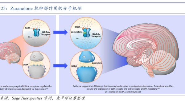 Zuranolone抗抑郁作用的分子机制 - 2024年10月 - 行业研究数据