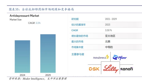 全球抗抑郁药物市场规模和竞争格局 - 2024年10月 - 行业研究数据