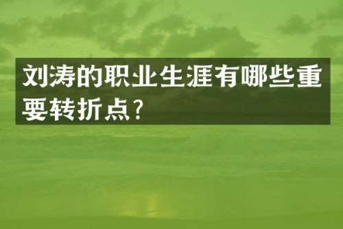 刘涛的职业生涯有哪些重要转折点？