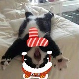 日向翔阳