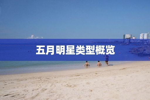 五月明星类型概览
