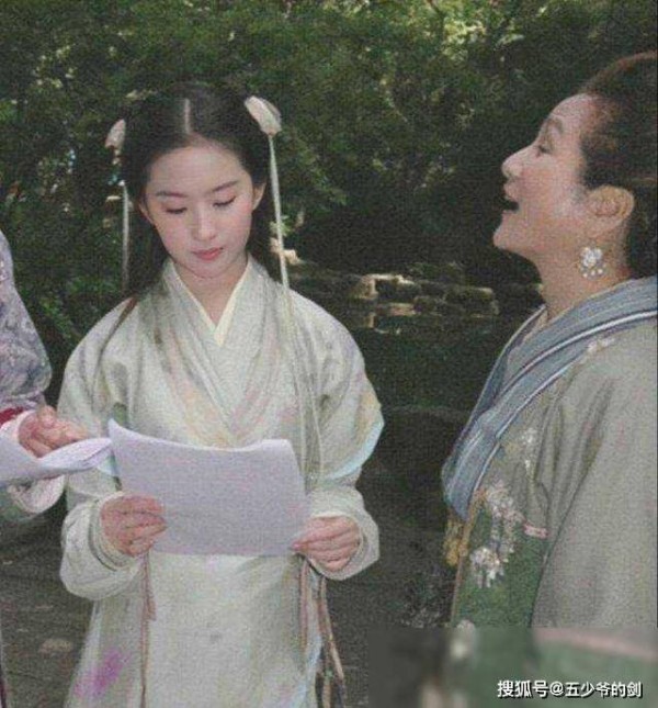 5个“红极一时”的女明星，刘亦菲高开低走，诸葛大力无戏可拍