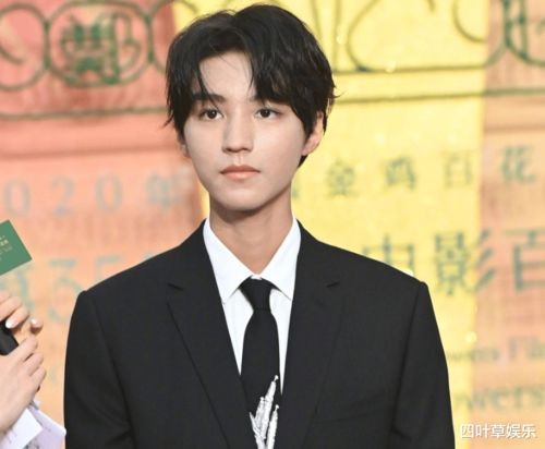 百花奖男明星生图