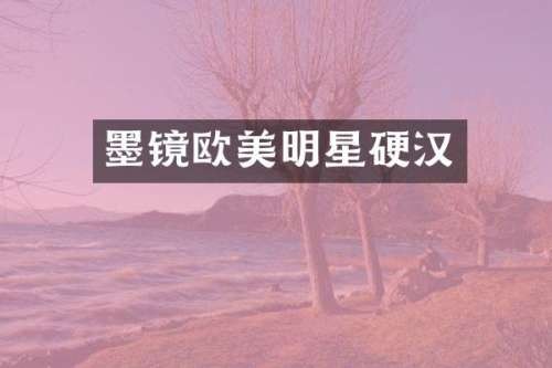 墨镜欧美明星硬汉